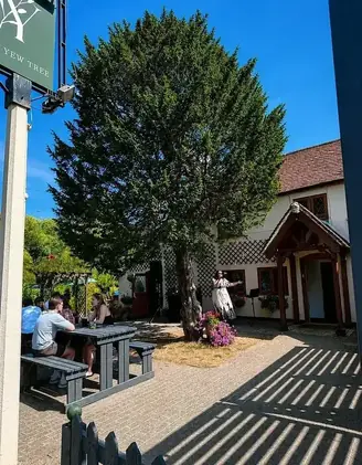 Music in the garden at The Yew Tree